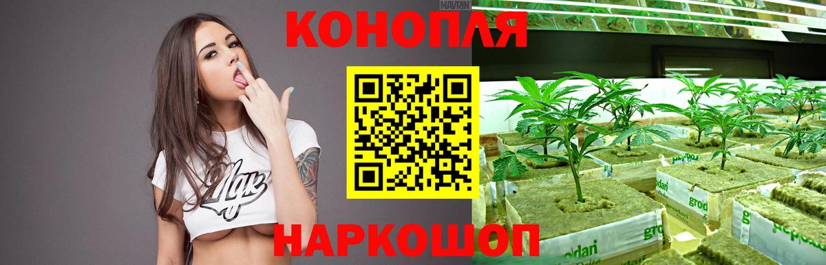 Шишки марихуана гибрид Всеволожск